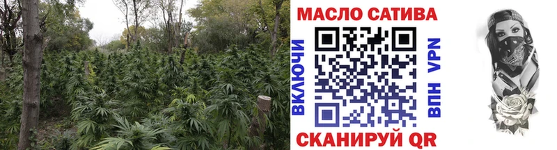 наркота  Чердынь  Дистиллят ТГК THC oil 